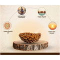 1 Mukhi Nepali Rudraksha