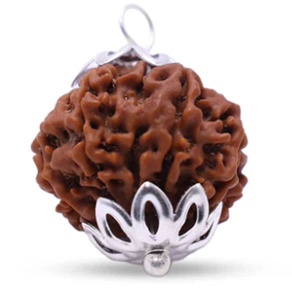10 Mukhi Rudraksha