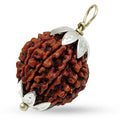 11 Mukhi Rudraksha