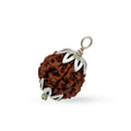 5 Mukhi Rudraksh beads With Certified