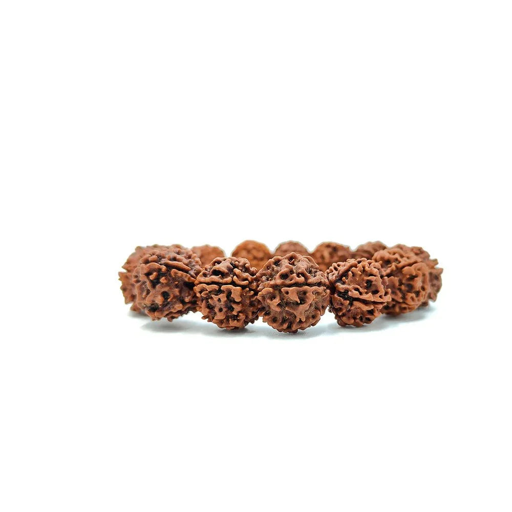 5 Mukhi Divine Rudraksha Bracelet