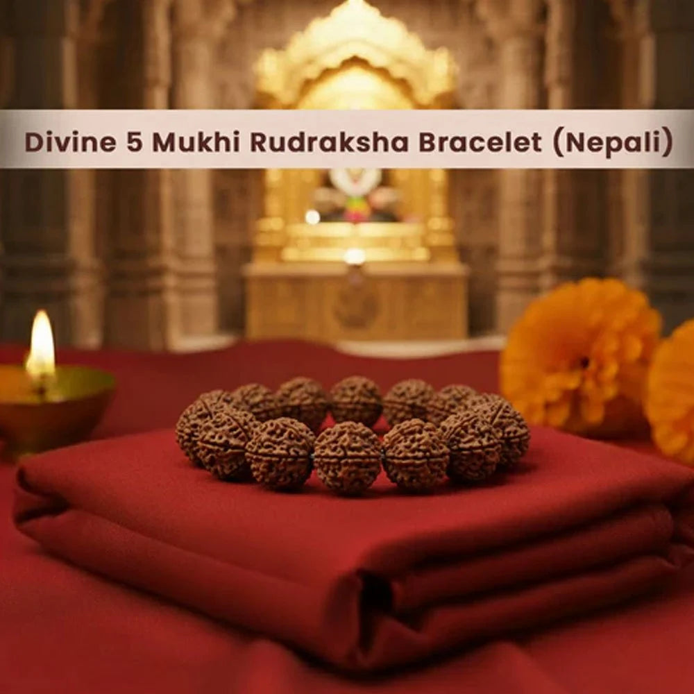 5 Mukhi Divine Rudraksha Bracelet