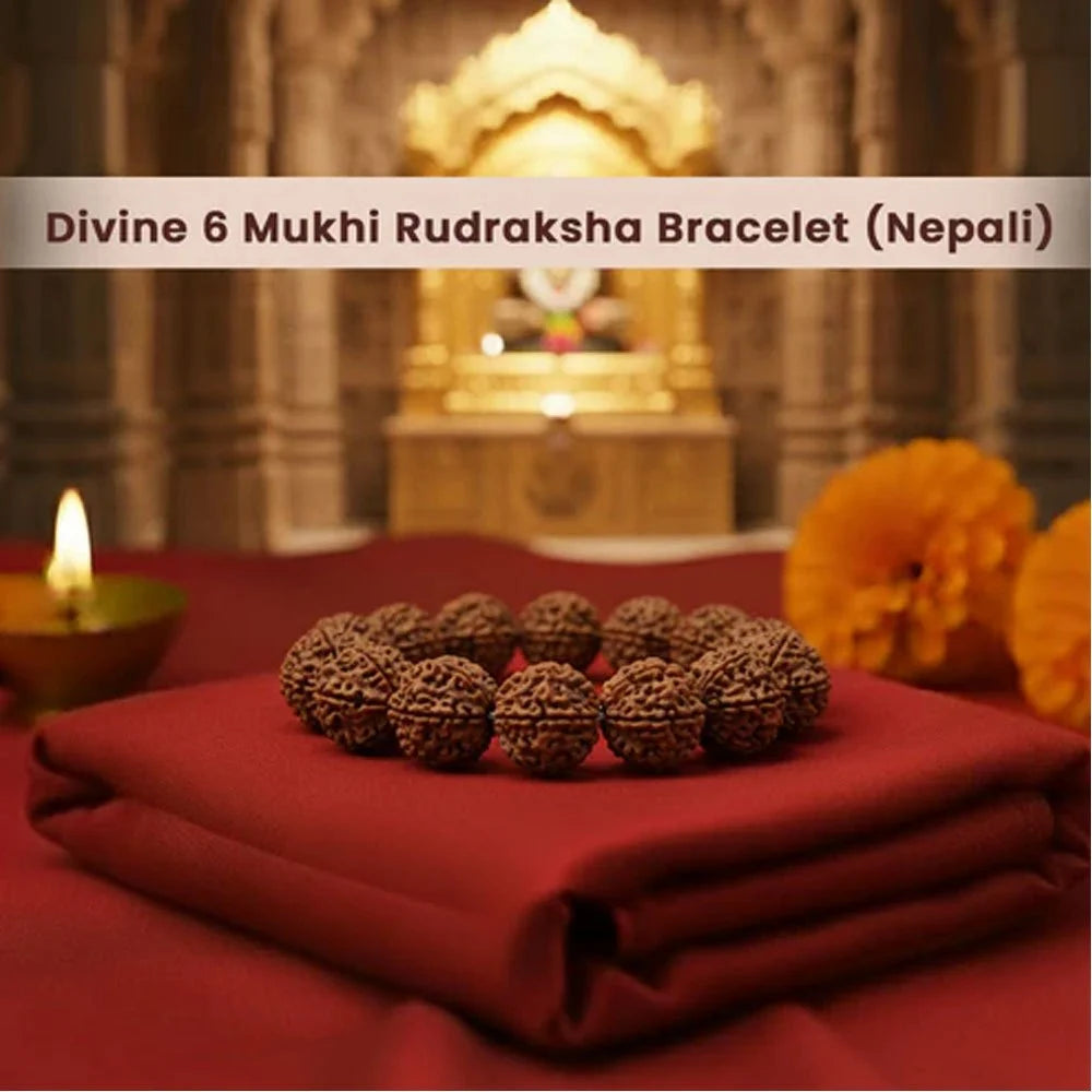 Nepali 6 Mukhi Rudraksha Bracelet