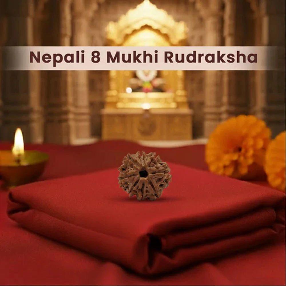 8 Mukhi Nepali Rudraksha