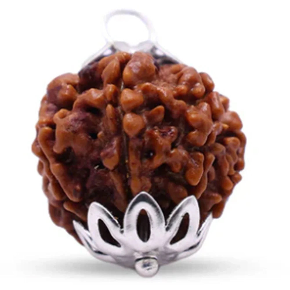 8 Mukhi Rudraksha