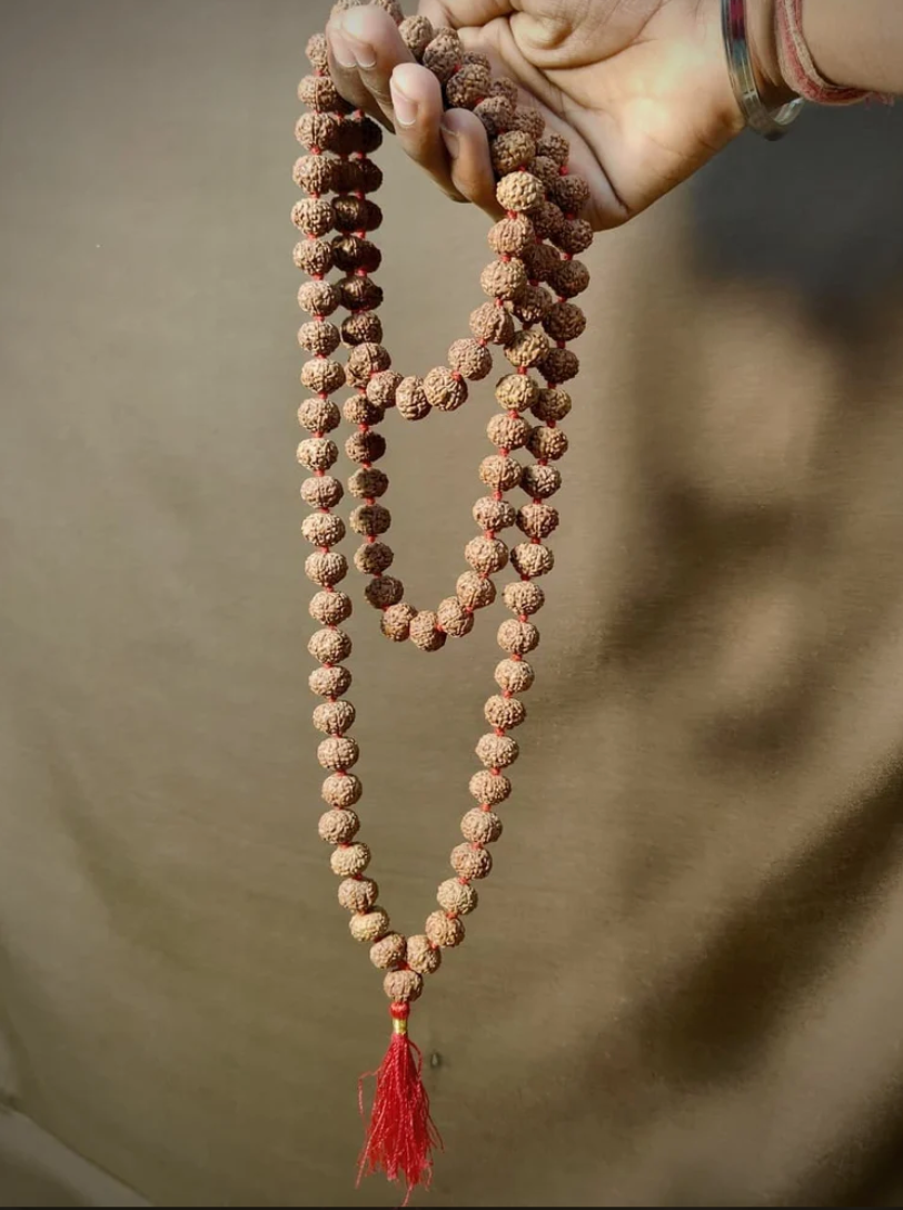 7 Mukhi Rudraksha Beads Mala