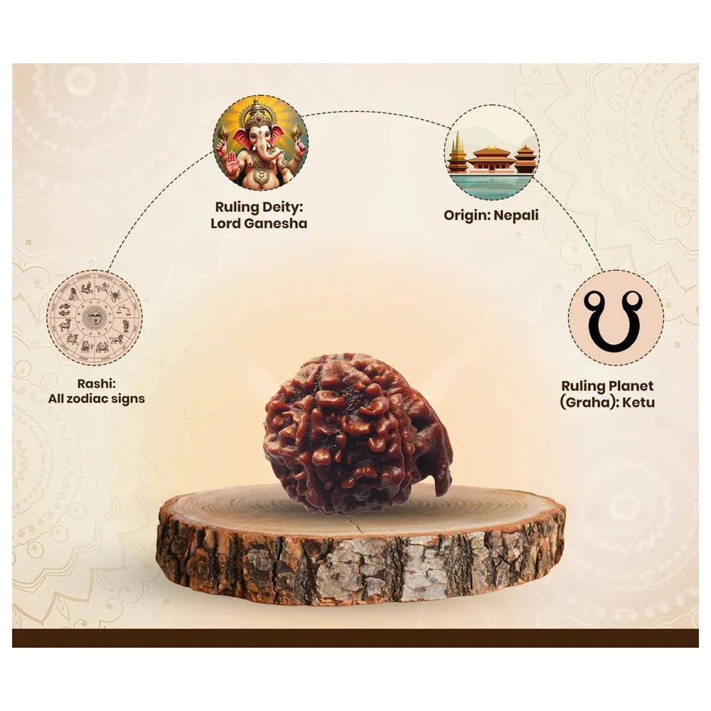 Nepali Ganesh Rudraksha